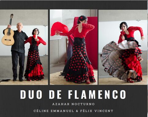 pg flamenco.jpg