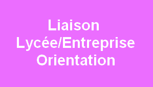 Sans titre.png