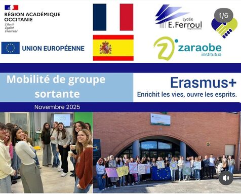 WhatsApp Image 2025-11-11 à 12.23.35_fe511b2d.jpg